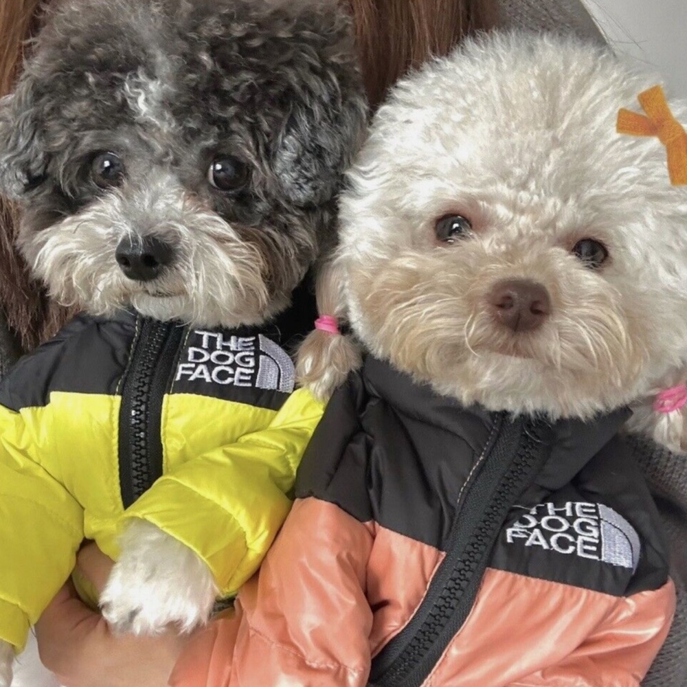 New- no tags - The Dog Face Winter Pet Dog Down Jacket for small dogs only